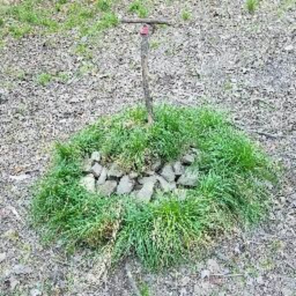 Meet your Posher, Derek - Picture 1 of 1